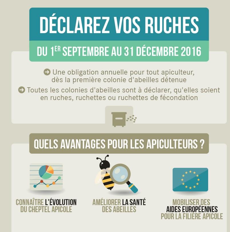 Affiche sur la déclaration des ruches 2016 © Ministère de l'Agriculture